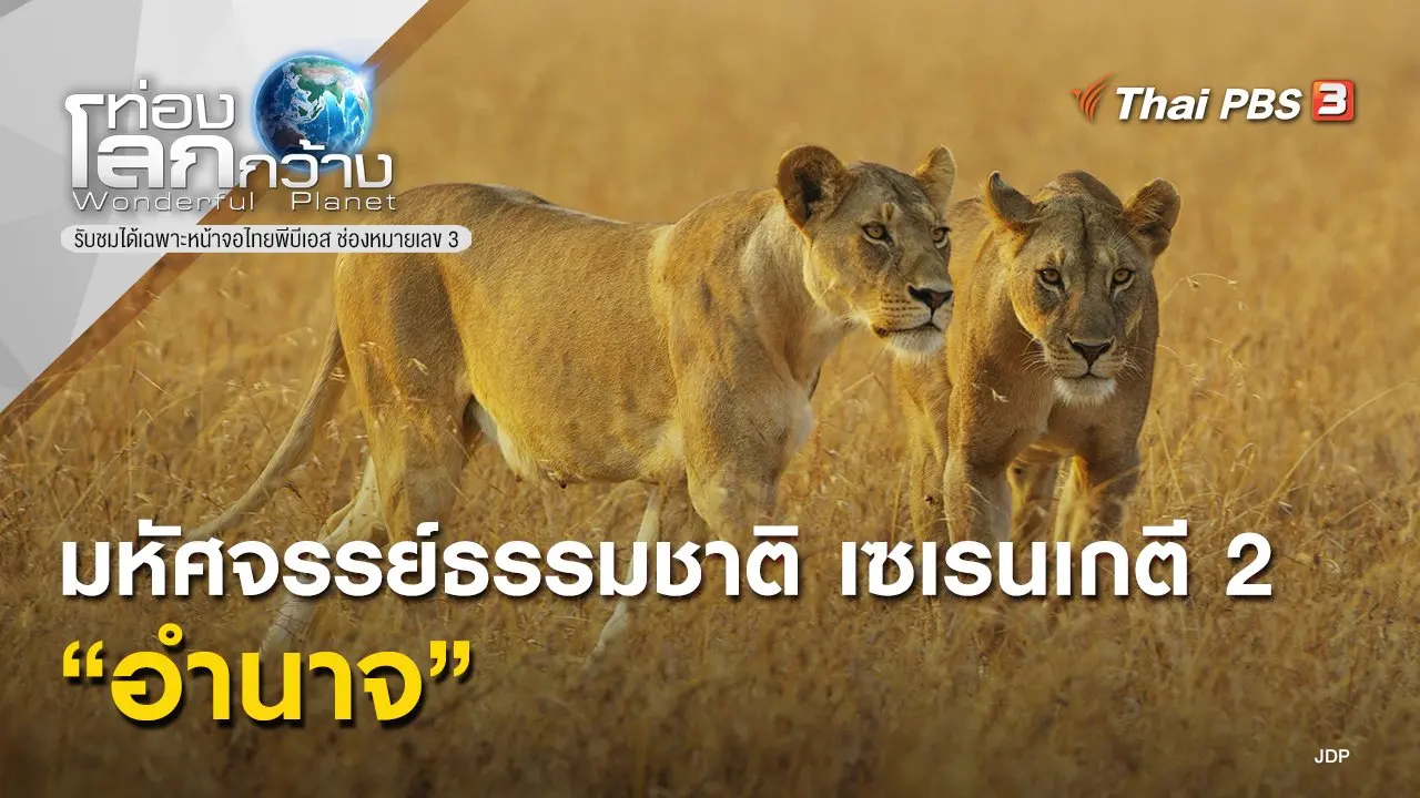มหัศจรรย์ธรรมชาติ เซเรนเกตี 2 ตอน อำนาจ