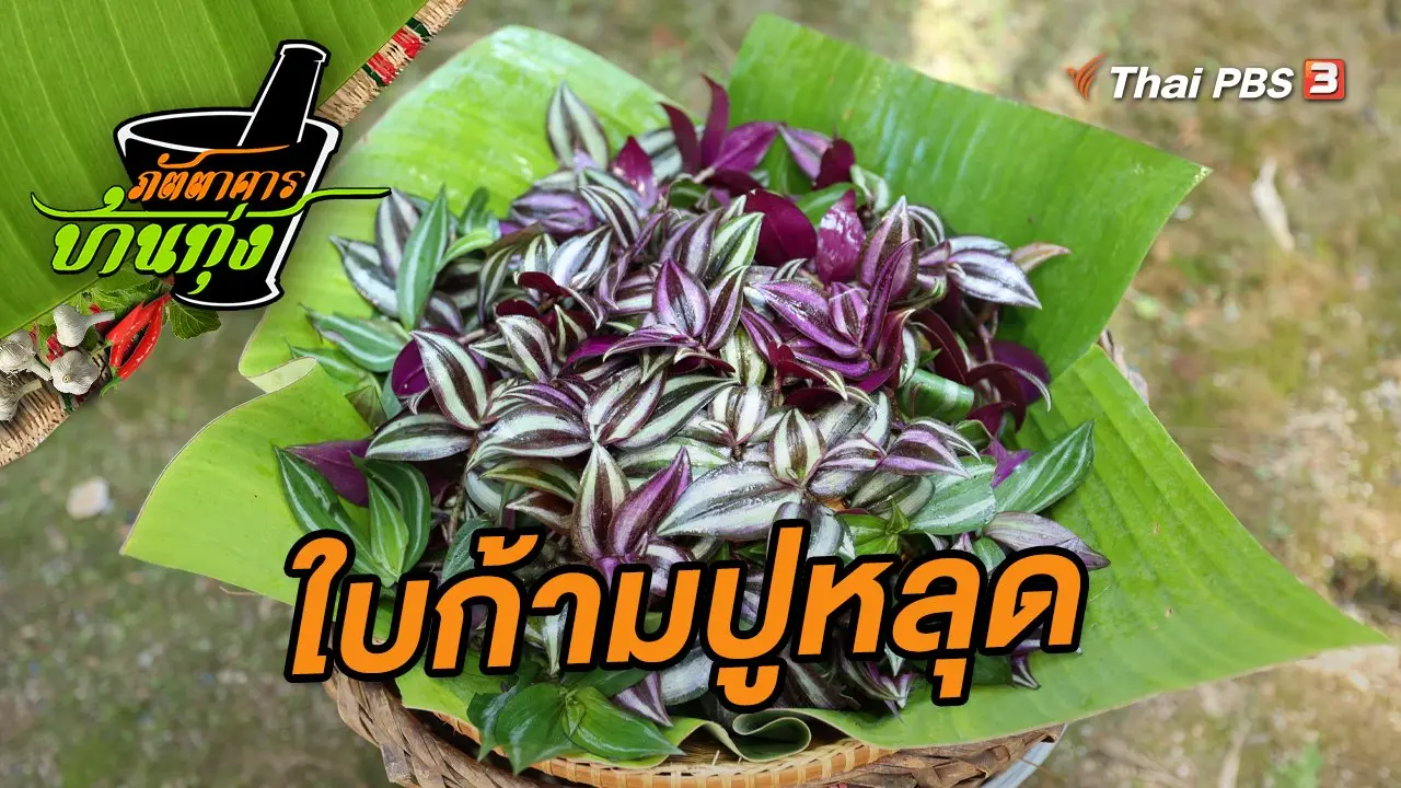 ใบก้ามปูหลุด