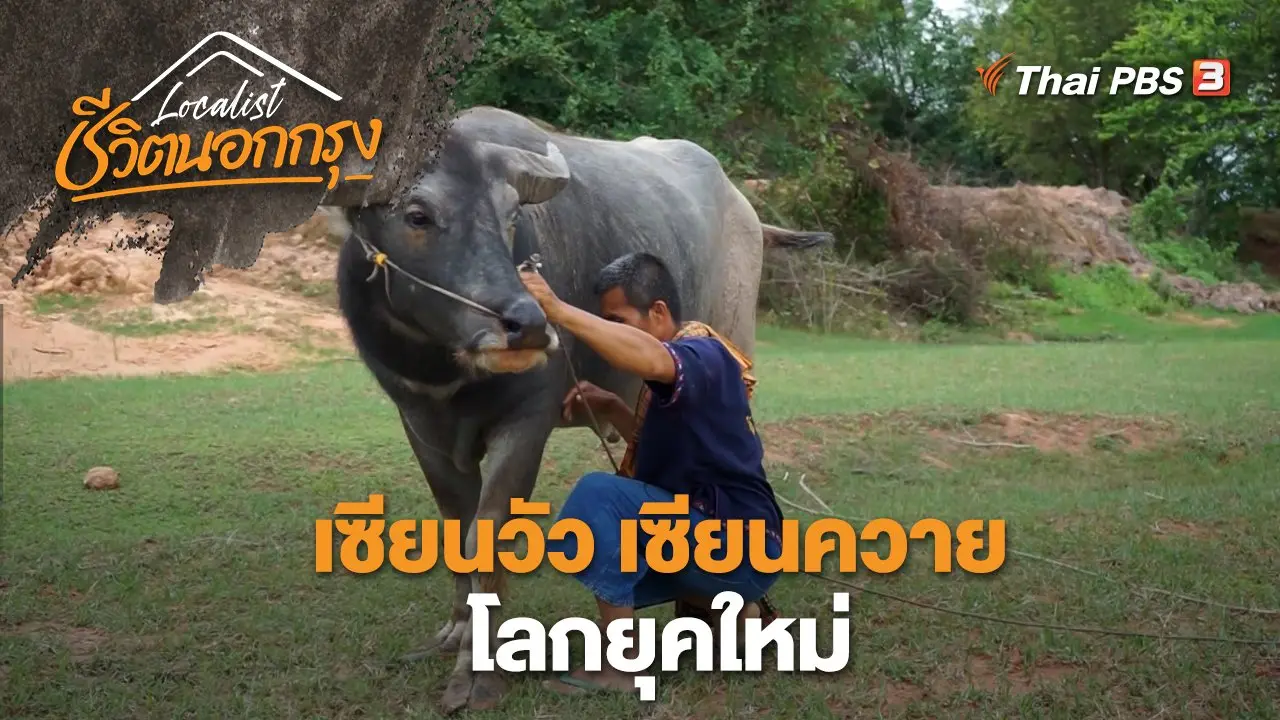 เซียนวัว เซียนควาย โลกยุคใหม่