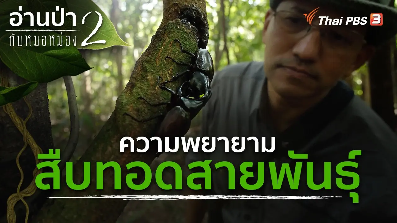 ความพยายามสืบทอดสายพันธุ์