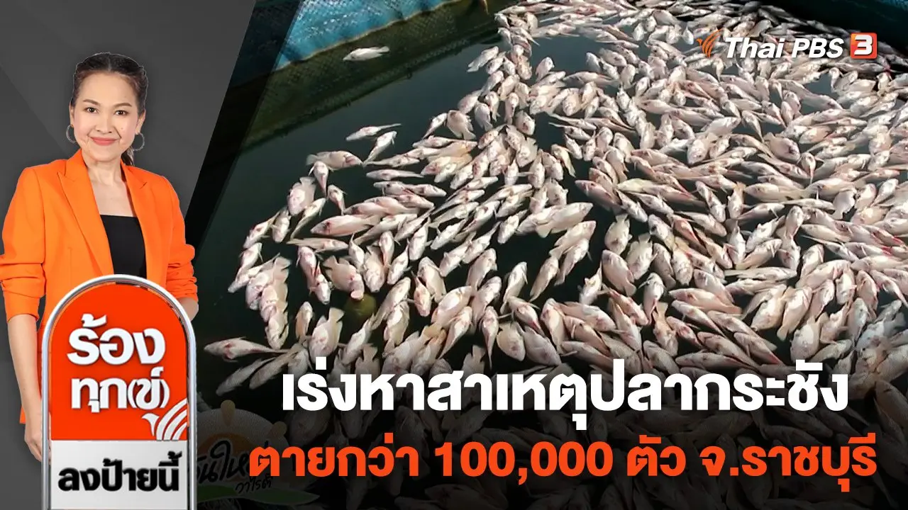 เร่งหาสาเหตุปลากระชังตายกว่า 100,000 ตัว จ.ราชบุรี