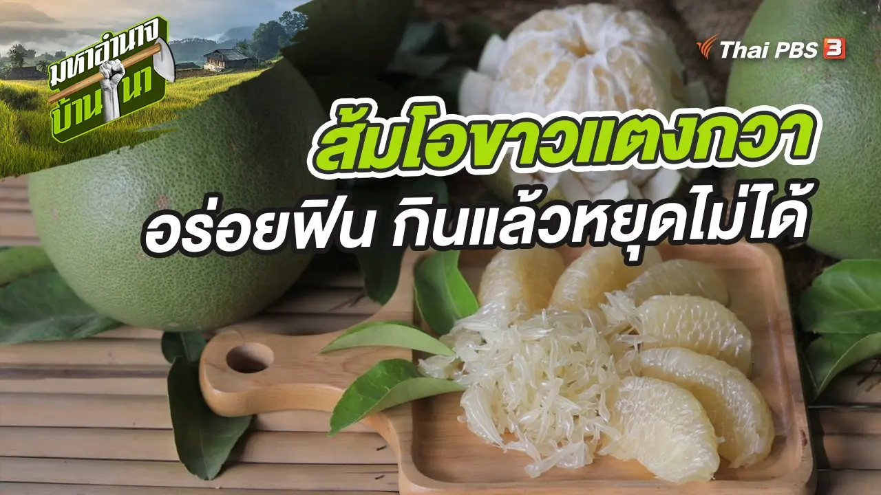 ส้มโอขาวแตงกวา อร่อยฟิน กินแล้วหยุดไม่ได้