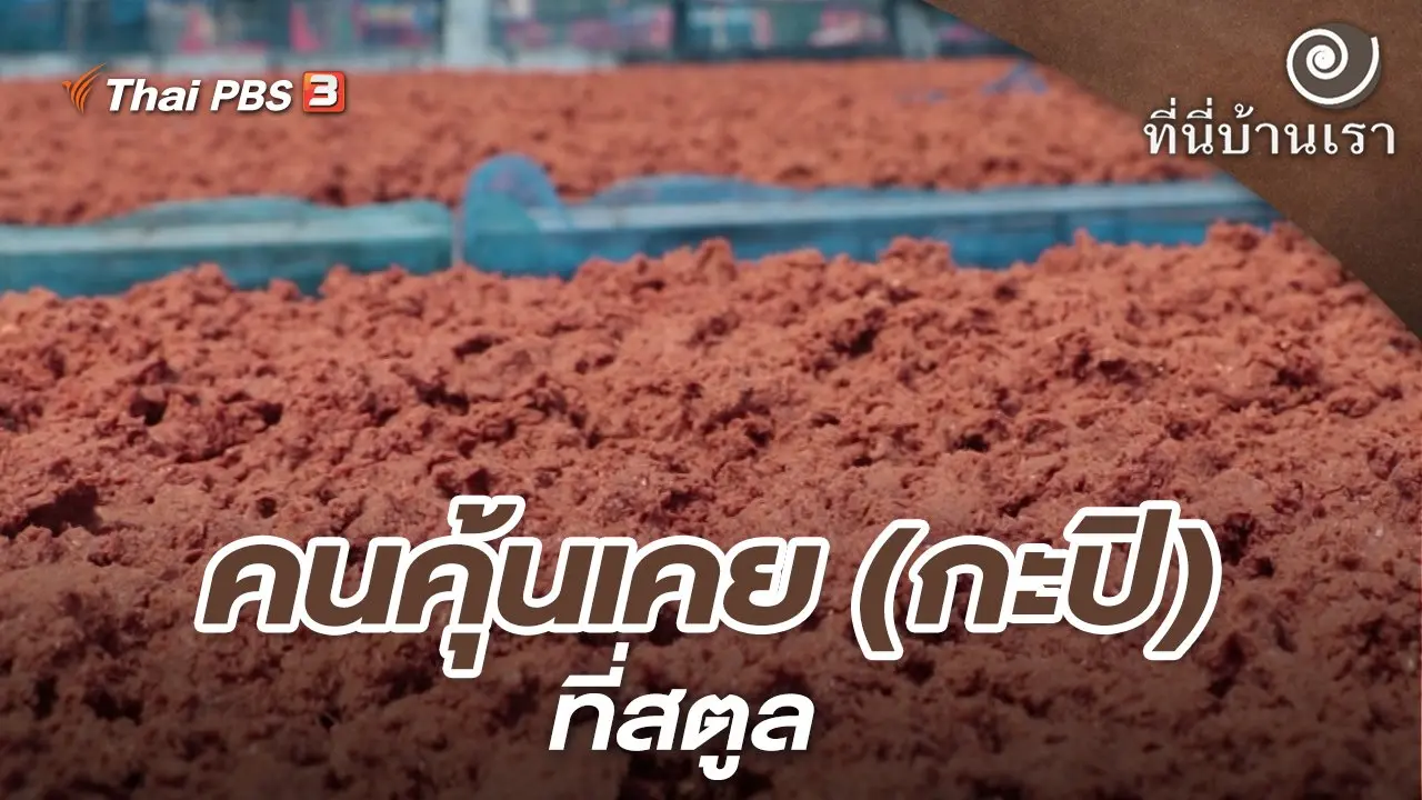 คนคุ้นเคย (กะปิ) ที่สตูล