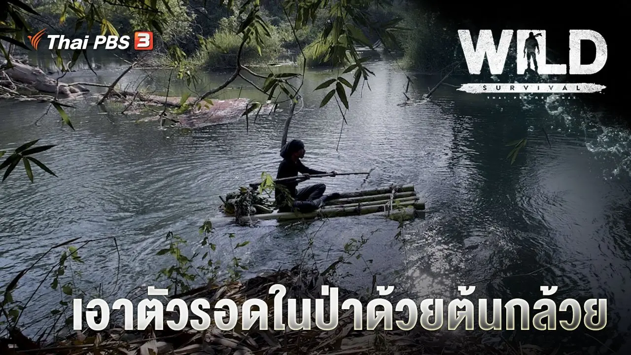 เอาตัวรอดในป่าด้วยต้นกล้วย