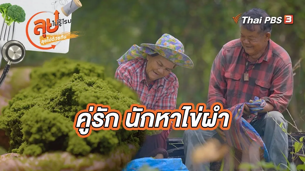 คู่รักนักหาไข่ผำ