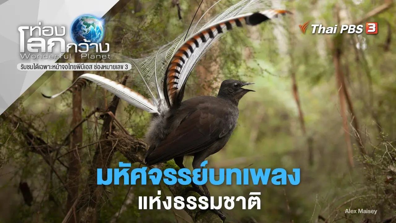 มหัศจรรย์บทเพลงแห่งธรรมชาติ