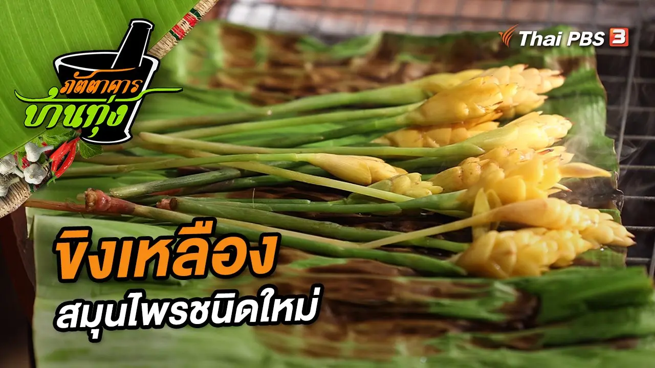 ขิงเหลือง