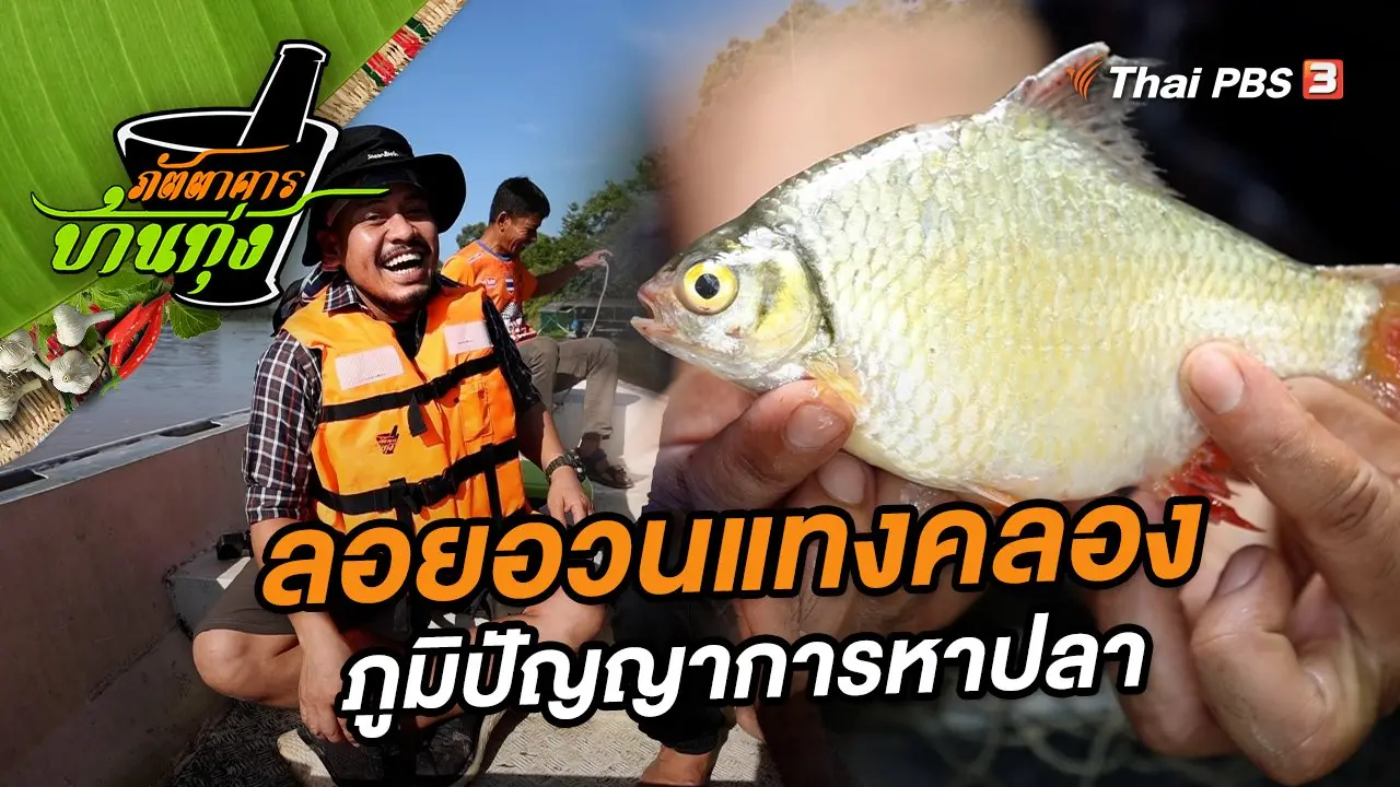 ลอยอวนแทงคลอง