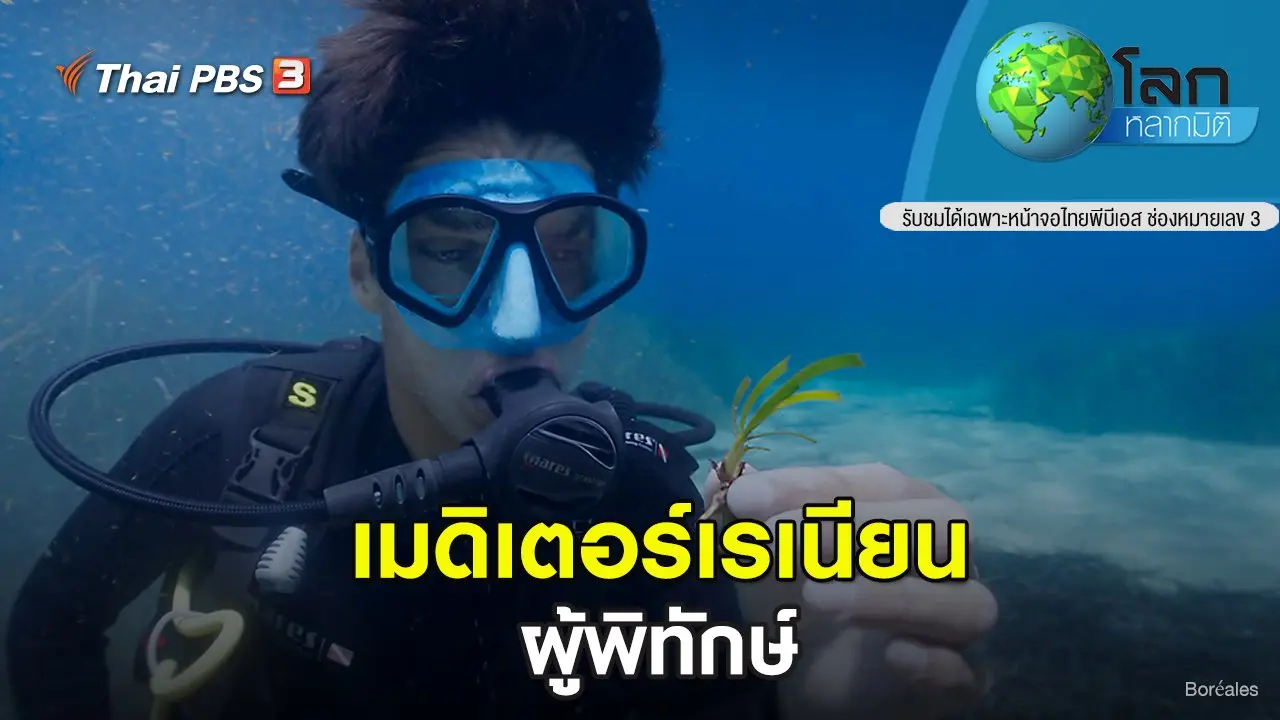 เมดิเตอร์เรเนียน ตอน ผู้พิทักษ์
