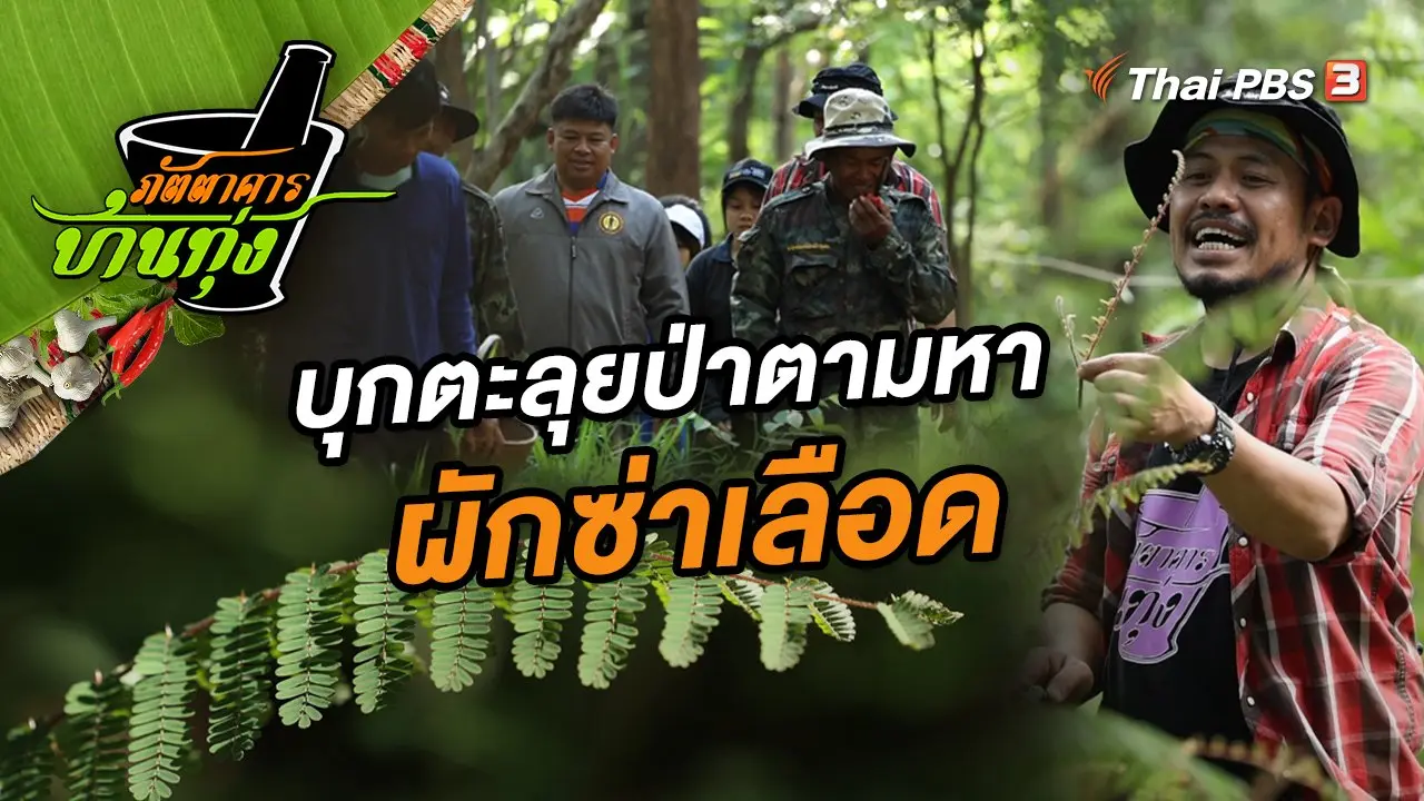ผักซ่าเลือด