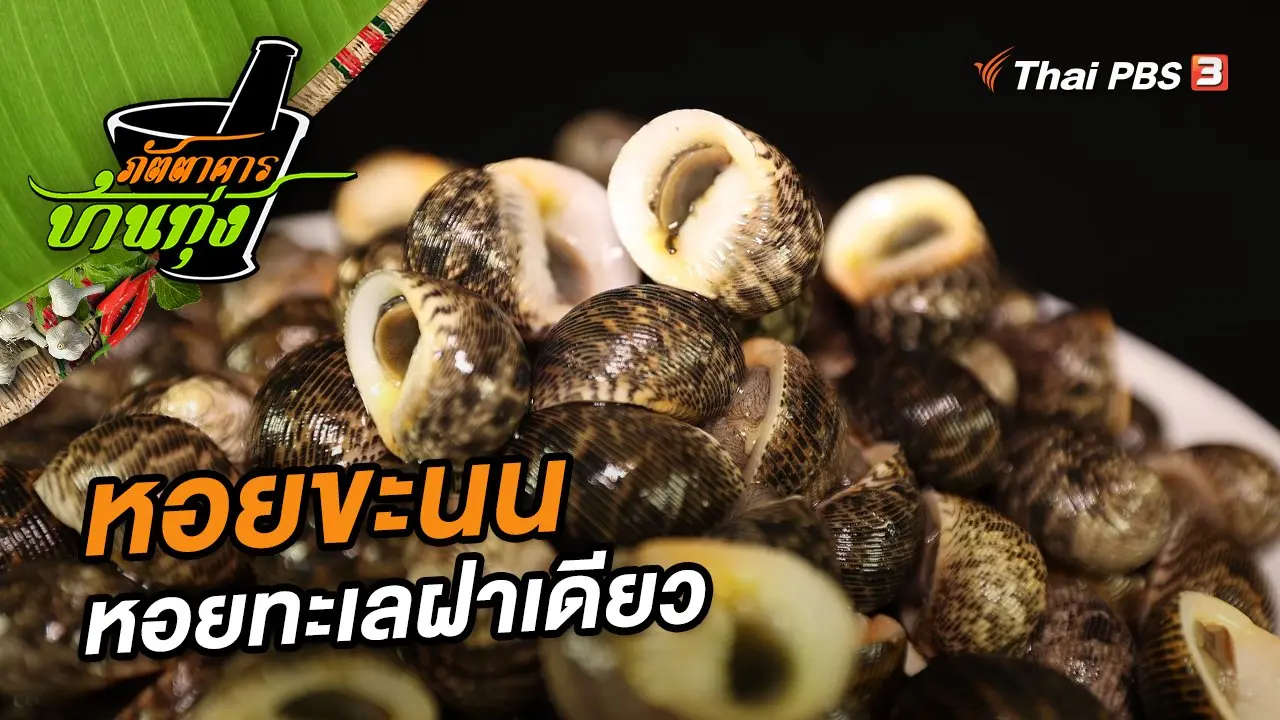 หอยขะนน