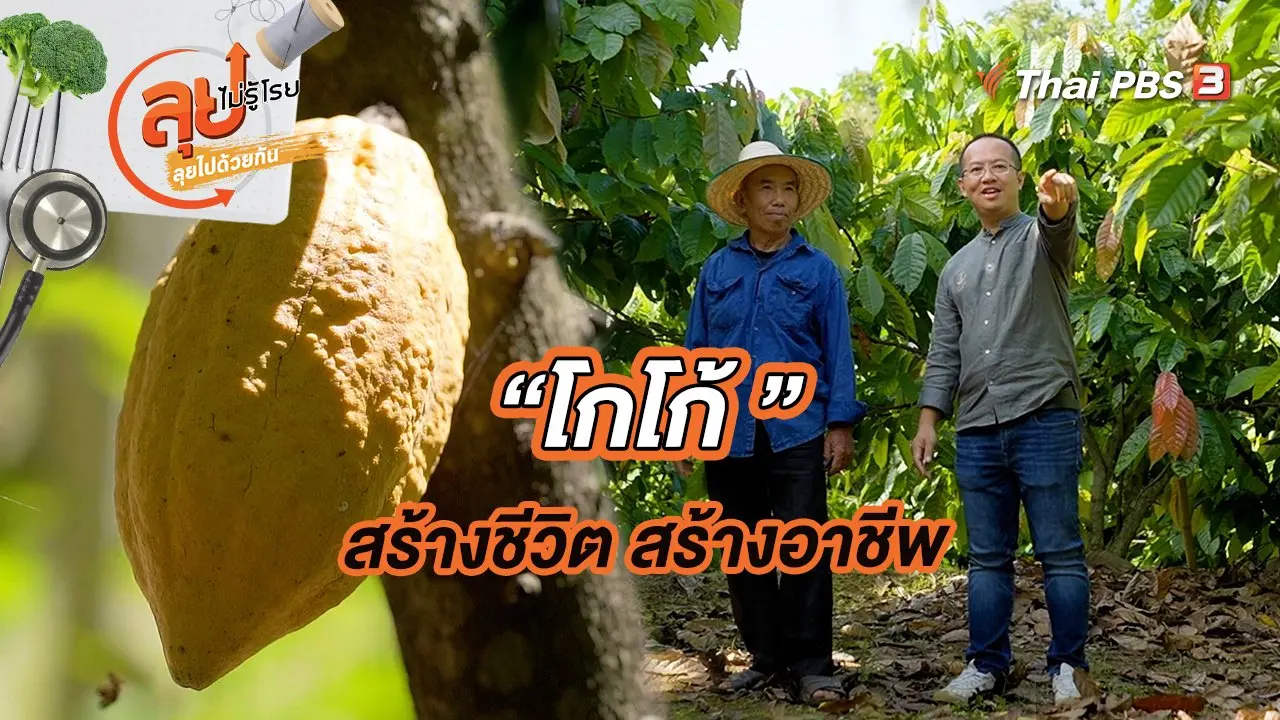 โกโก้ สร้างชีวิต สร้างอาชีพ