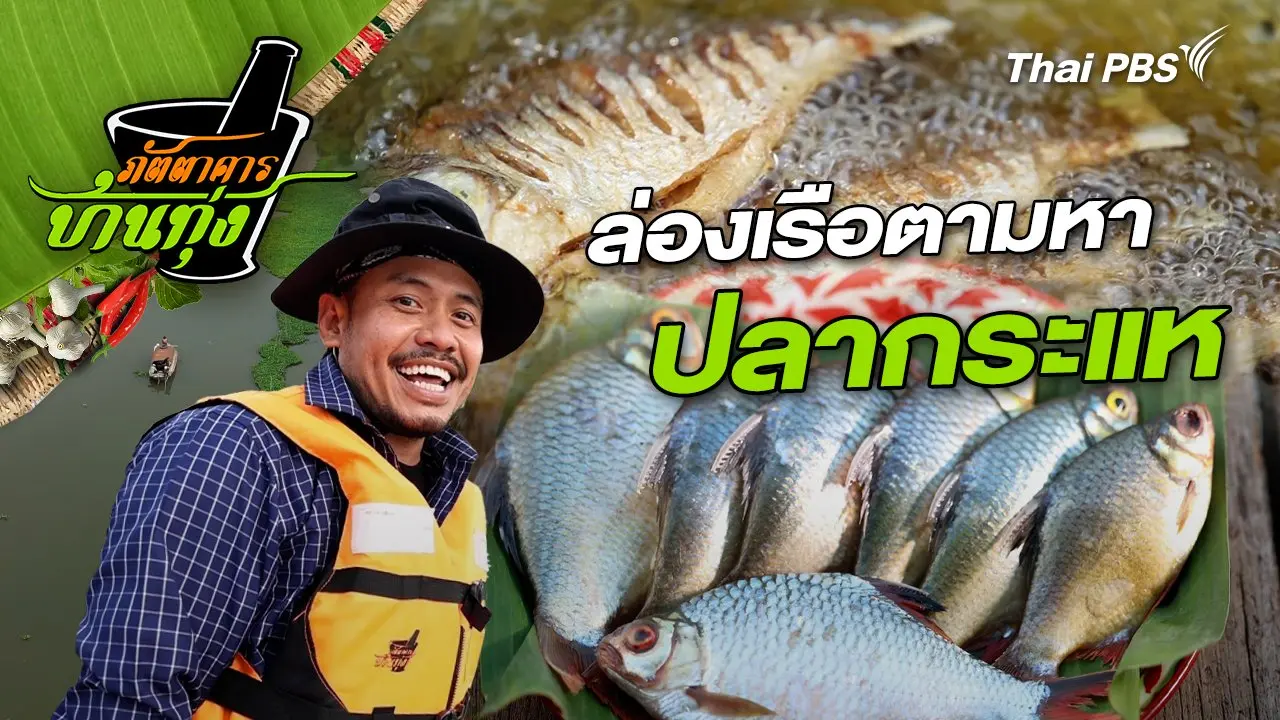 ปลากระแห