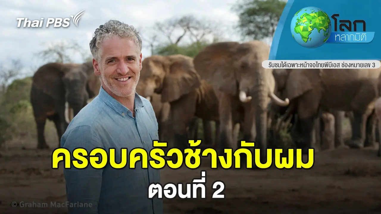 ครอบครัวช้างกับผม ตอนที่ 2