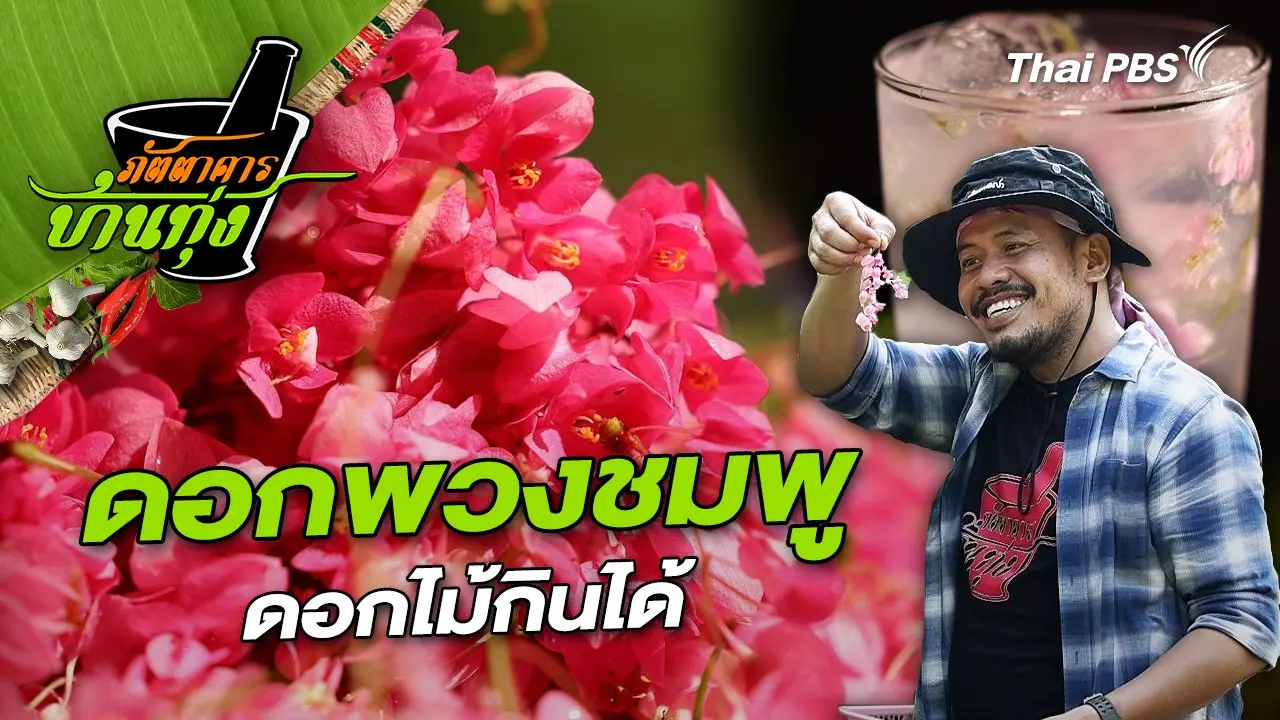 ดอกพวงชมพู