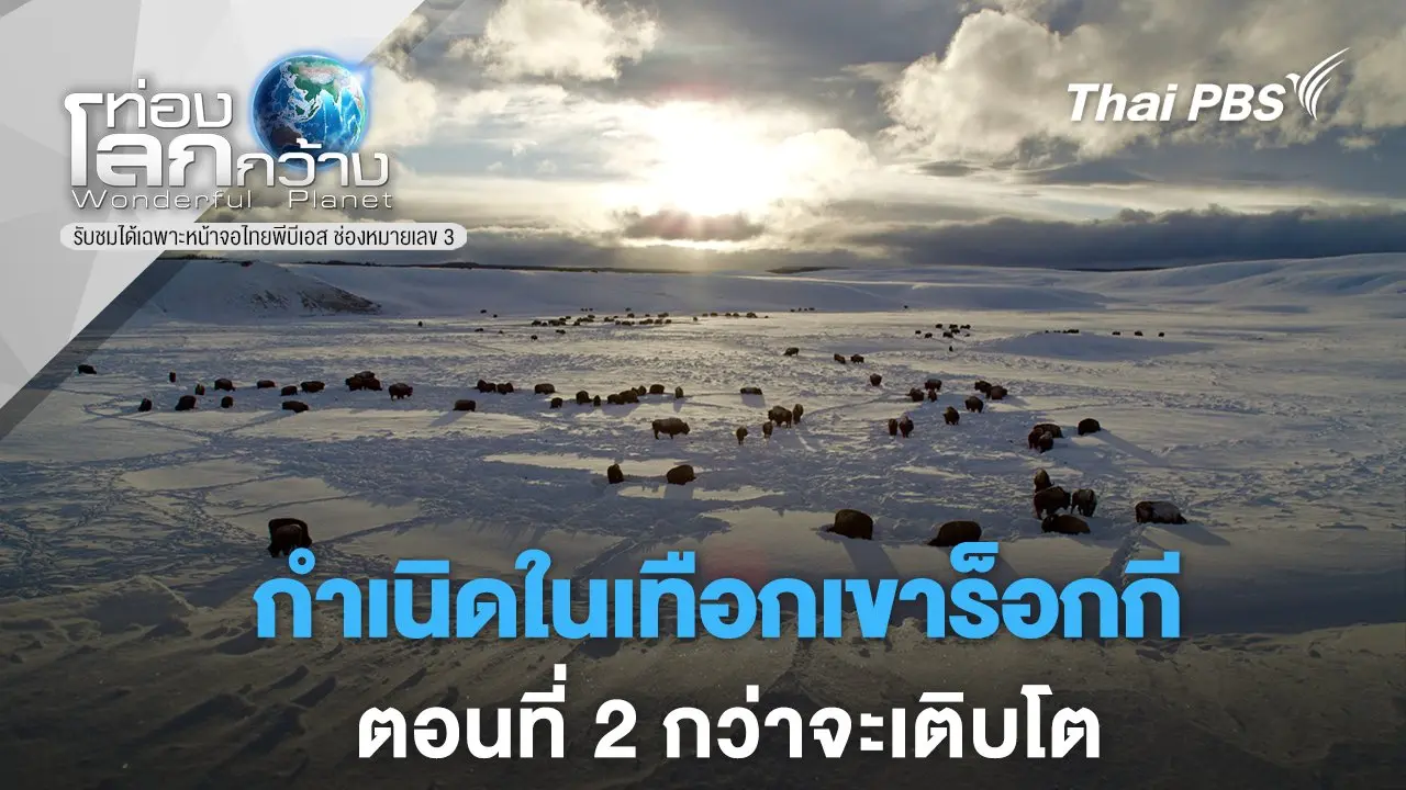 กำเนิดในเทือกเขาร็อกกี  ตอนที่ 2 กว่าจะเติบโต