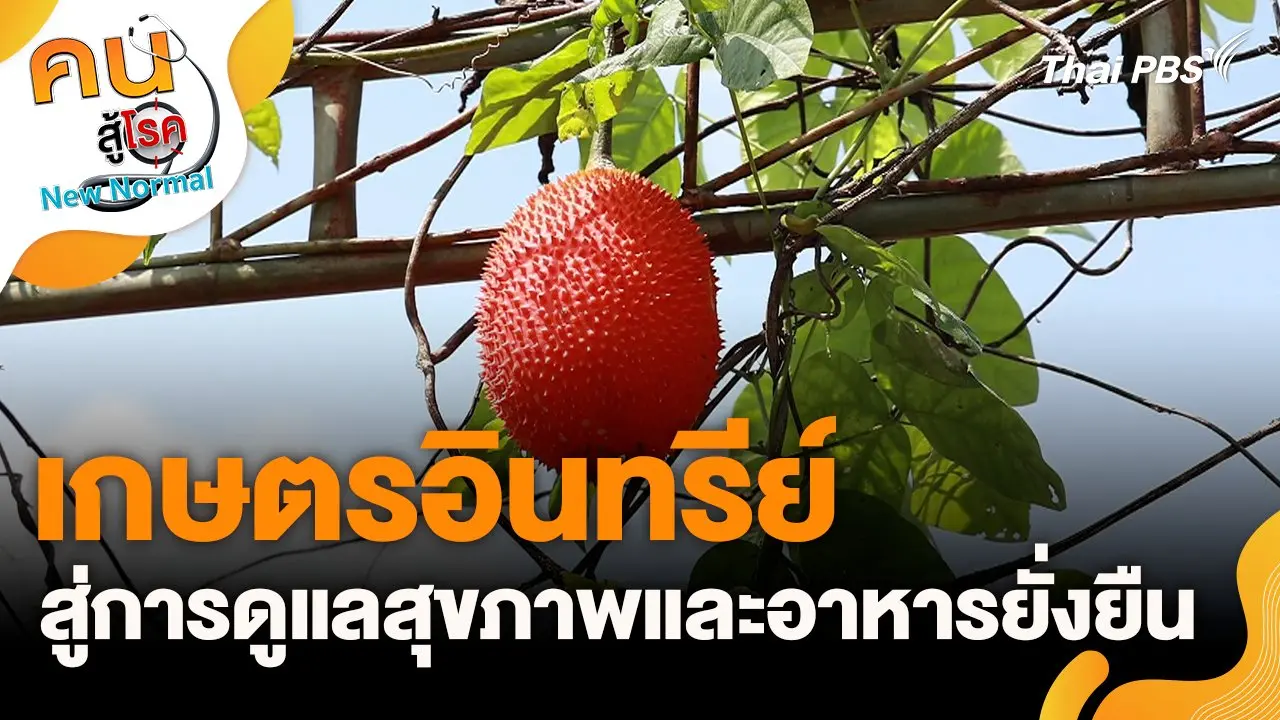 เกษตรอินทรีย์สู่การดูแลสุขภาพและอาหารยั่งยืน