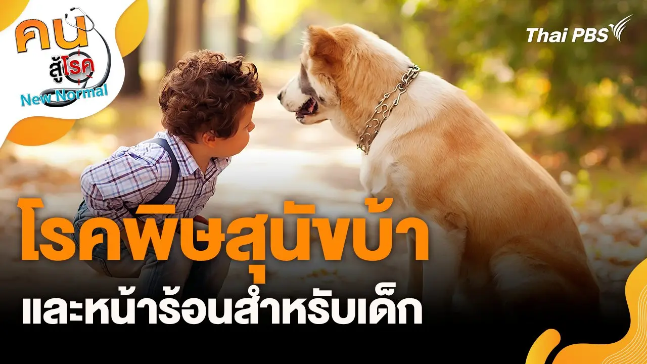 โรคพิษสุนัขบ้าและหน้าร้อนสำหรับเด็ก