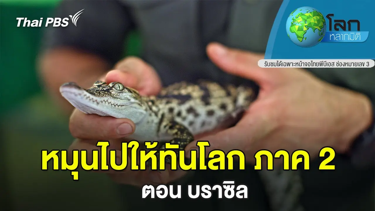 หมุนไปให้ทันโลก ภาค 2 ตอน บราซิล