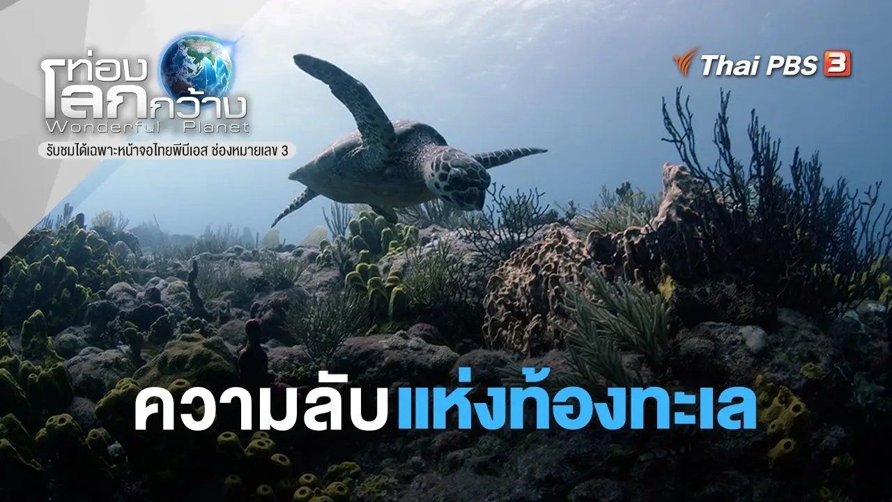 ความลับแห่งท้องทะเล