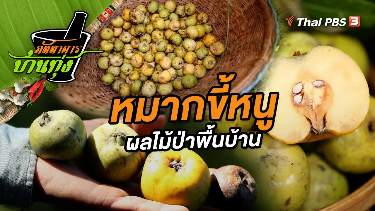 หมากขี้หนู