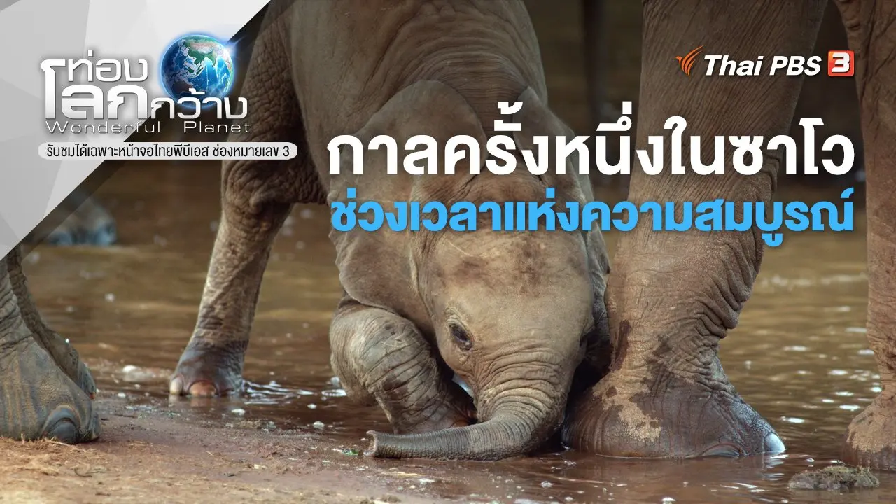 กาลครั้งหนึ่งในซาโว ตอน ช่วงเวลาแห่งความสมบูรณ์