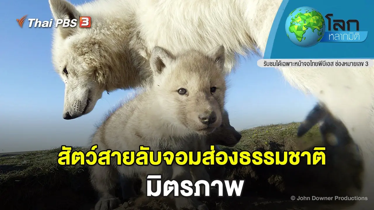 สัตว์สายลับจอมส่องธรรมชาติ ตอน มิตรภาพ