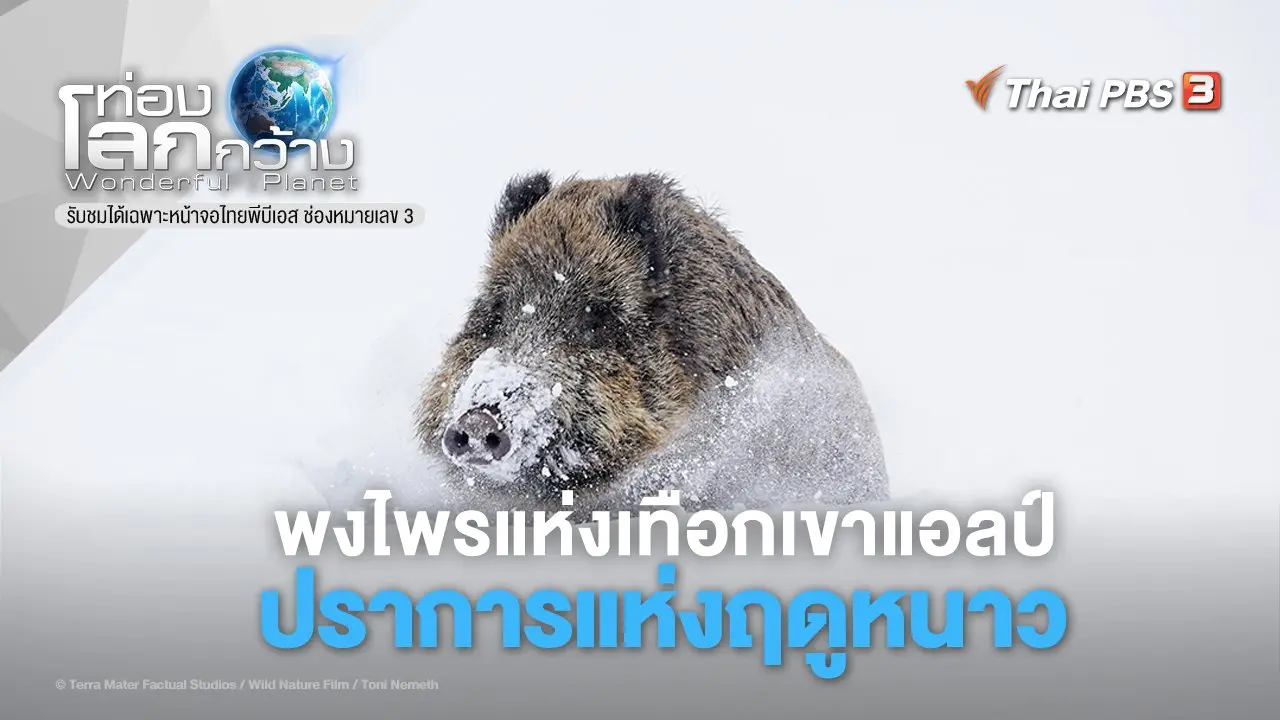 พงไพรแห่งเทือกเขาแอลป์ ตอน ปราการแห่งฤดูหนาว