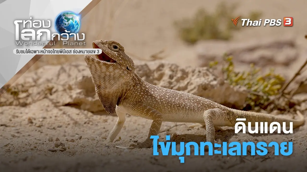 ดินแดนไข่มุกทะเลทราย
