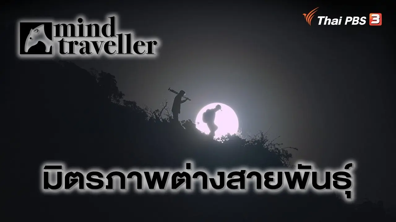 มิตรภาพต่างสายพันธุ์