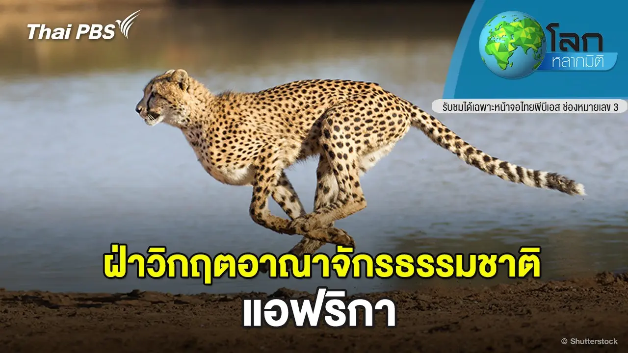ฝ่าวิกฤตอาณาจักรธรรมชาติ ตอน แอฟริกา