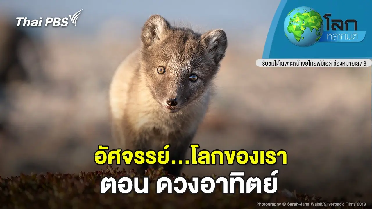 อัศจรรย์...โลกของเรา ตอน ดวงอาทิตย์