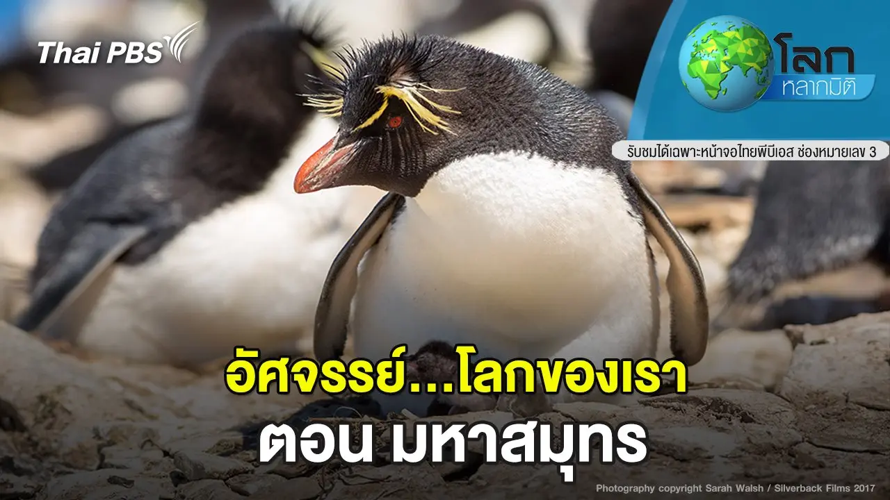 อัศจรรย์...โลกของเรา ตอน มหาสมุทร
