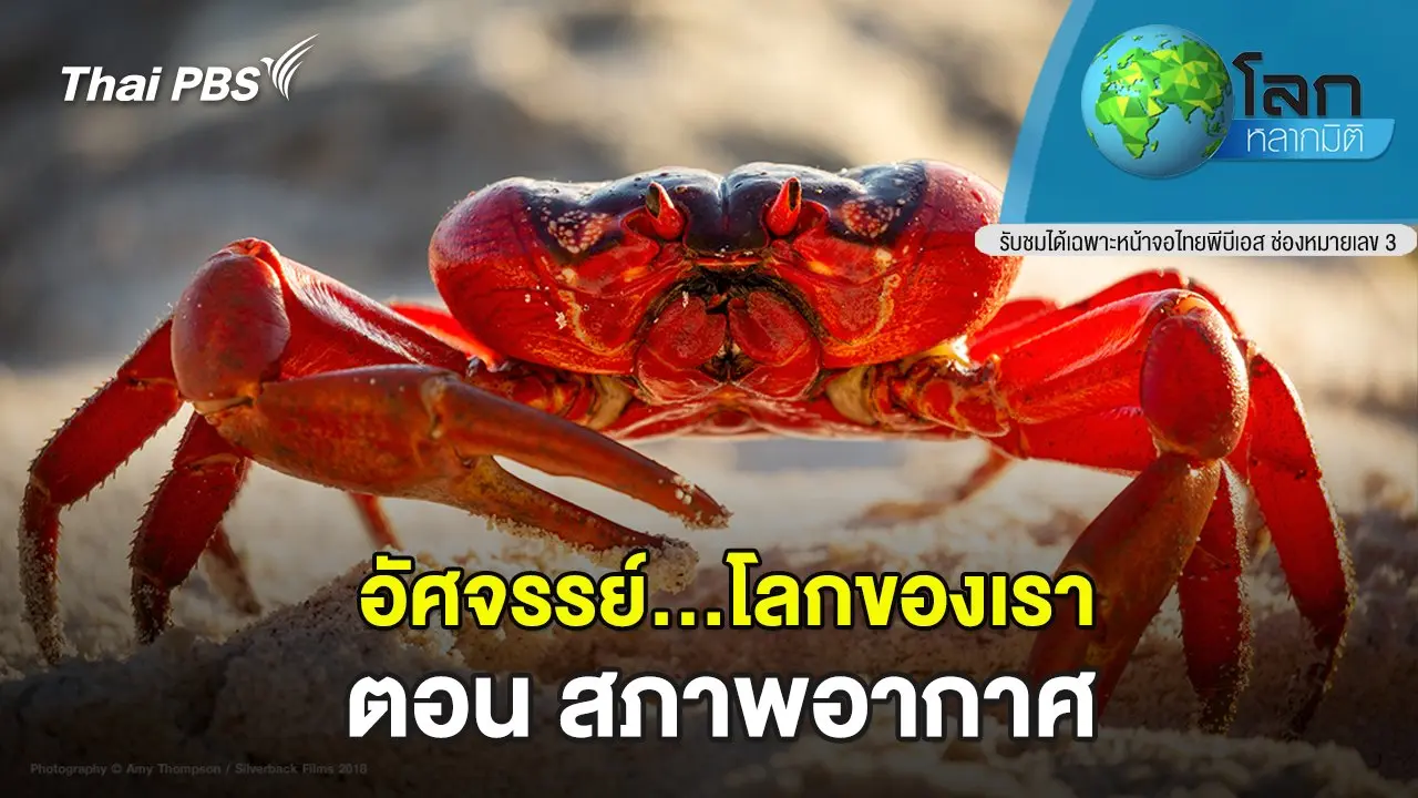 อัศจรรย์...โลกของเรา ตอน สภาพอากาศ