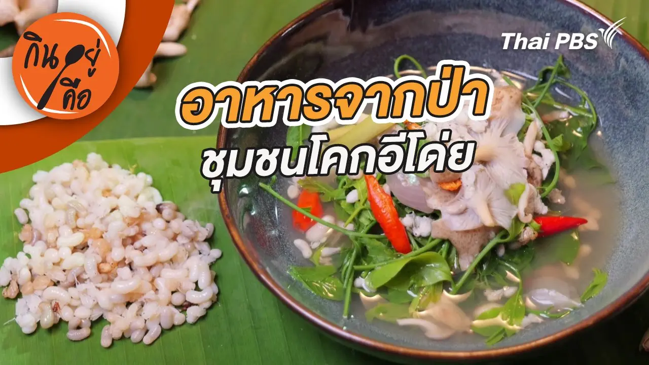 อาหารจากป่าชุมชนโคกอีโด่ย