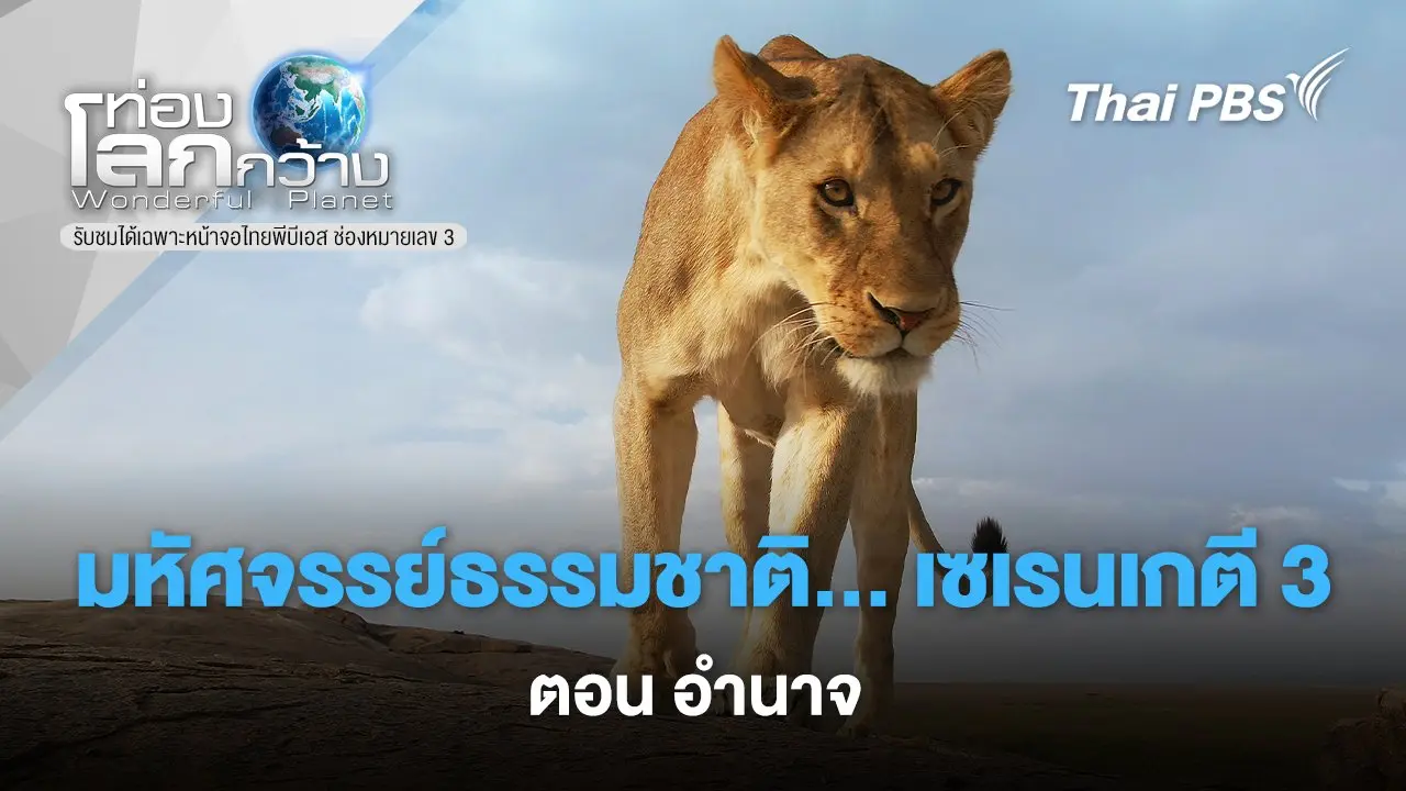 มหัศจรรย์ธรรมชาติ...เซเรนเกตี 3 ตอน อำนาจ