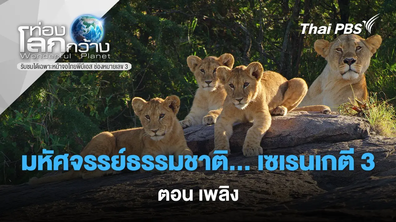 มหัศจรรย์ธรรมชาติ... เซเรนเกตี 3 ตอน เพลิง