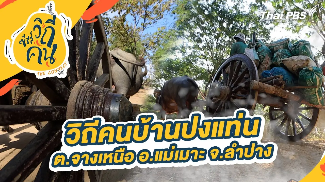 วิถีคนบ้านปงแท่น ต.จางเหนือ อ.แม่เมาะ จ.ลำปาง