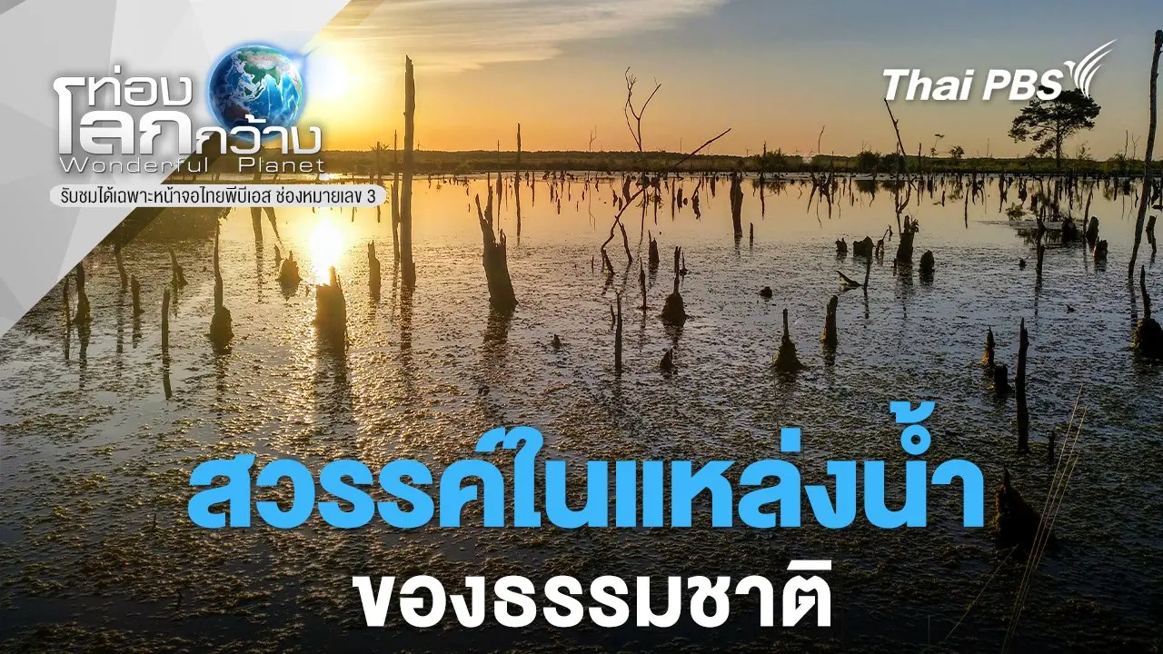 สวรรค์ในแหล่งน้ำของธรรมชาติ