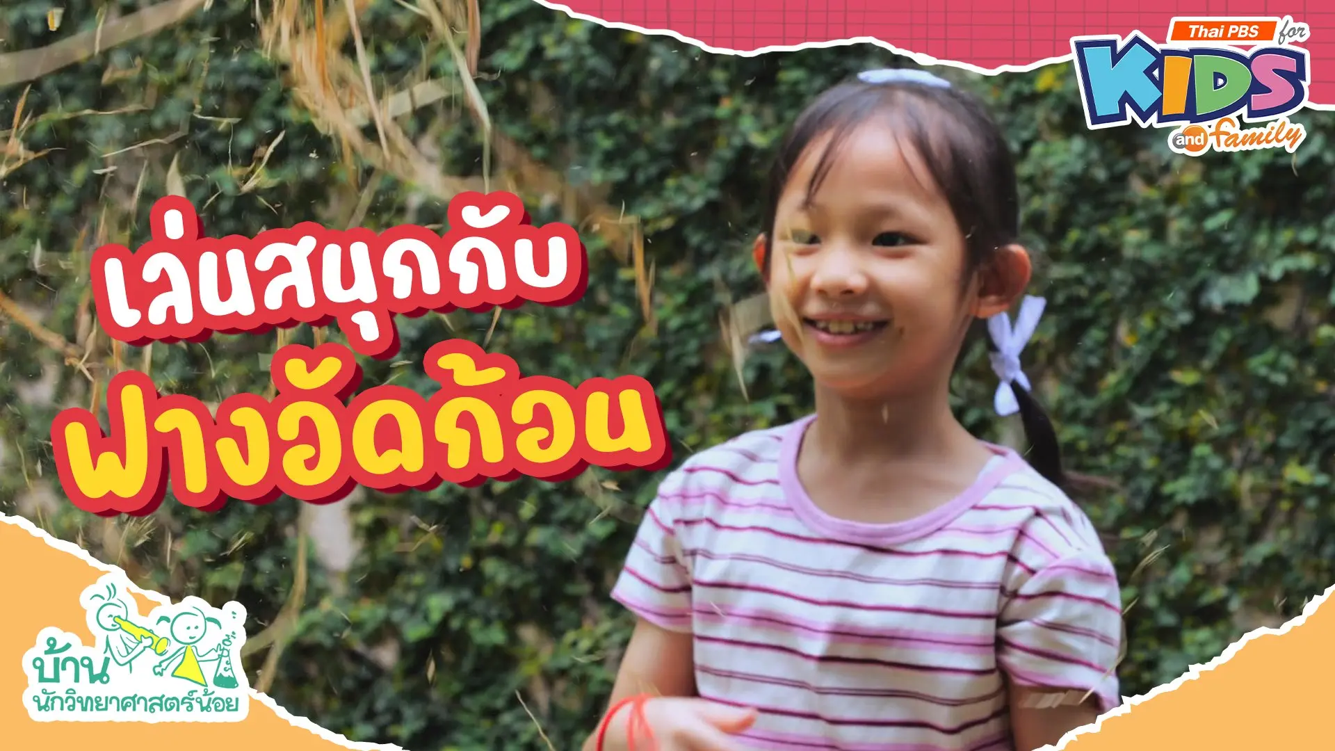 เล่นสนุกกับฟางอัดก้อน