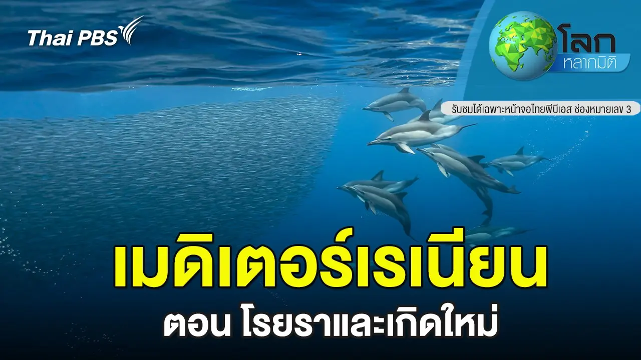 เมดิเตอร์เรเนียน ตอน โรยราและเกิดใหม่
