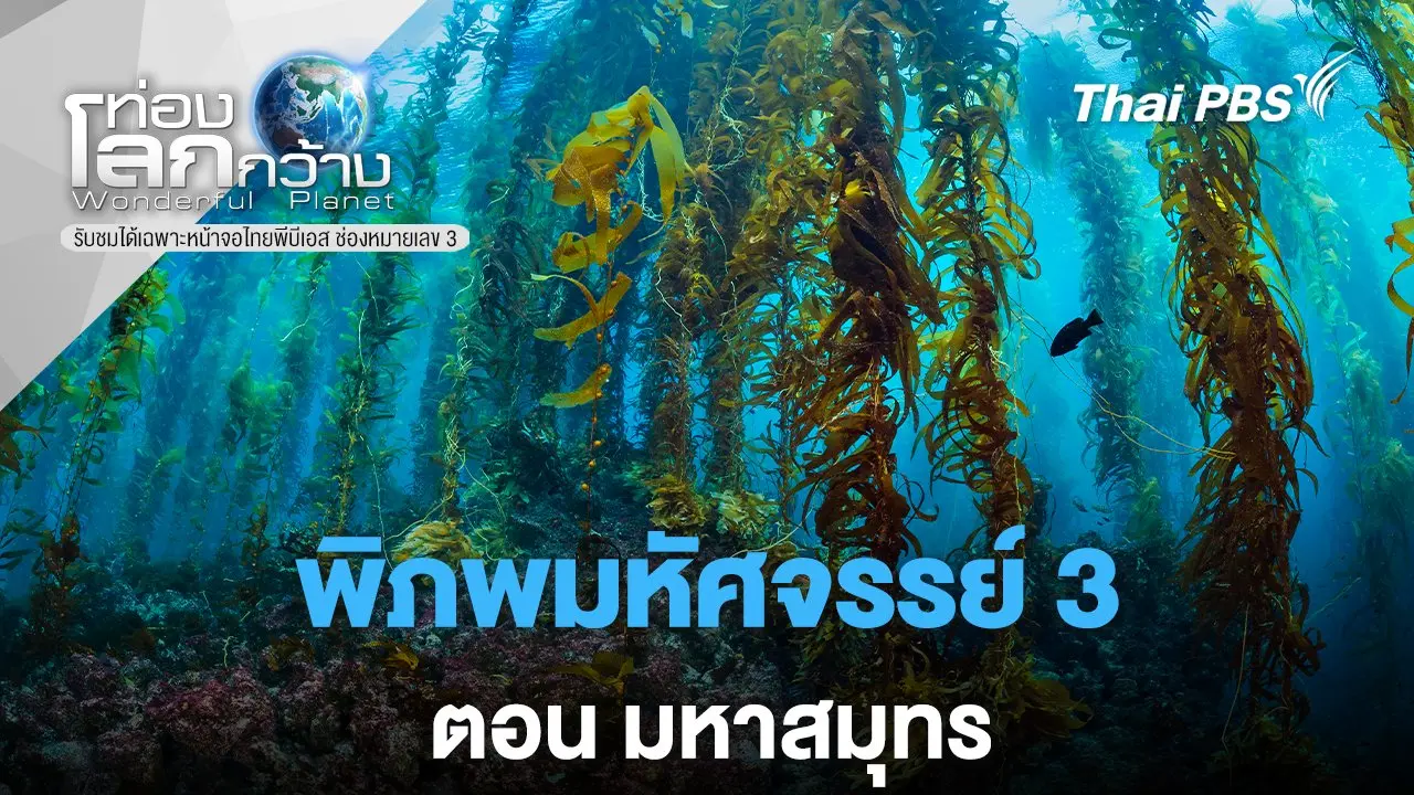 พิภพมหัศจรรย์ 3 ตอน มหาสมุทร