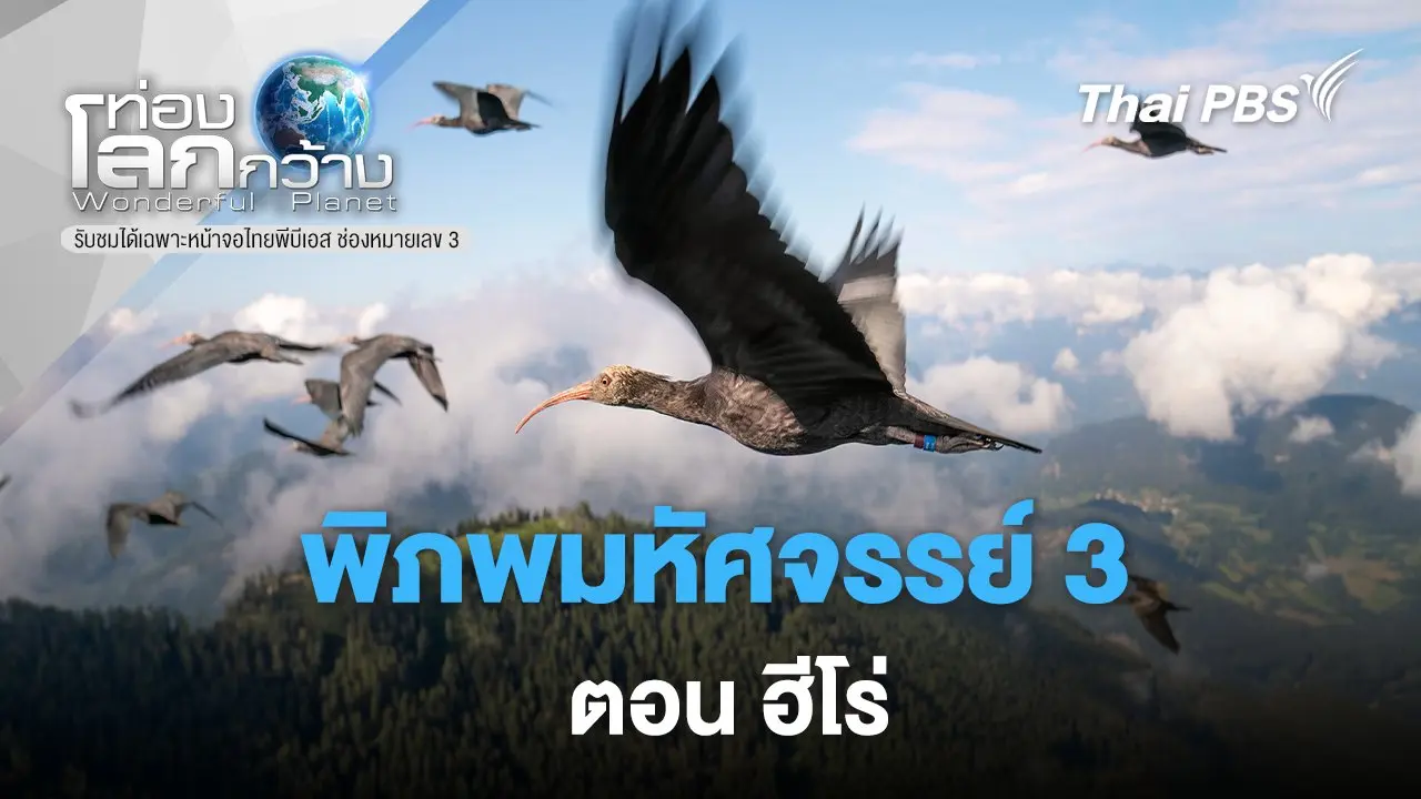 พิภพมหัศจรรย์ 3 ตอน ฮีโร่