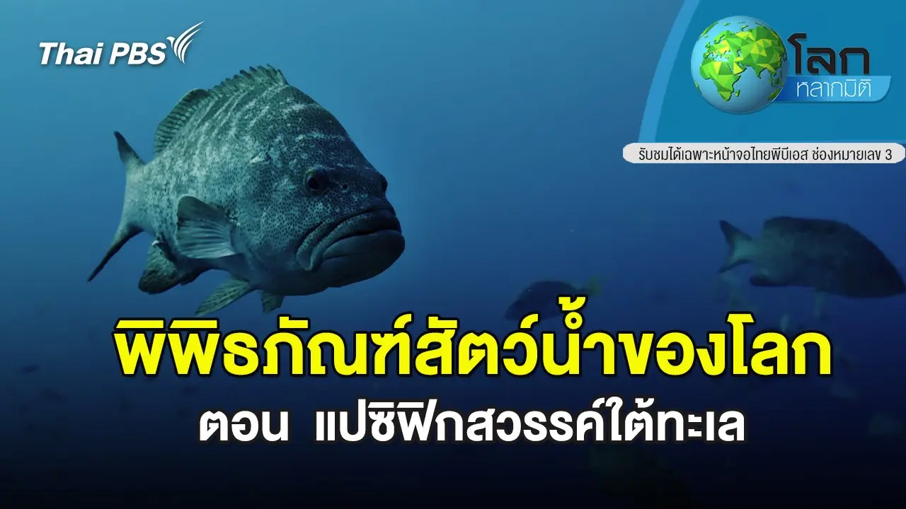 พิพิธภัณฑ์สัตว์น้ำของโลก ตอน  แปซิฟิกสวรรค์ใต้ทะเล