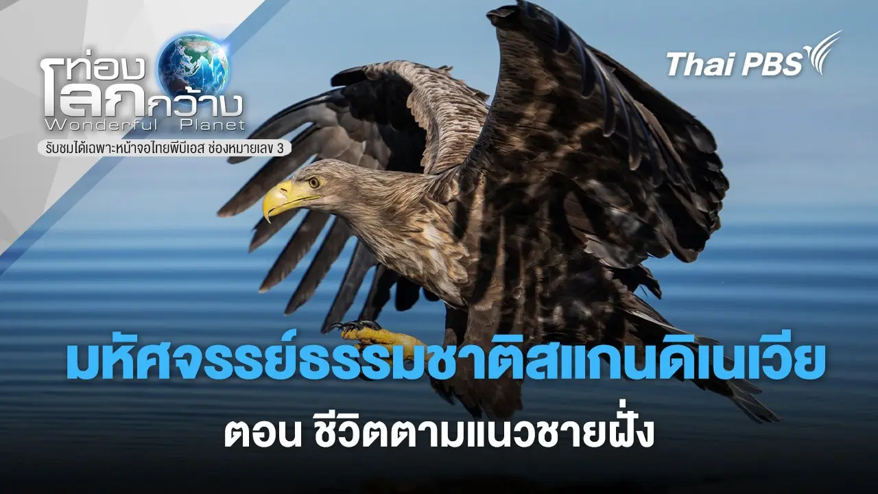 มหัศจรรย์ธรรมชาติสแกนดิเนเวีย   ตอน ชีวิตตามแนวชายฝั่ง
