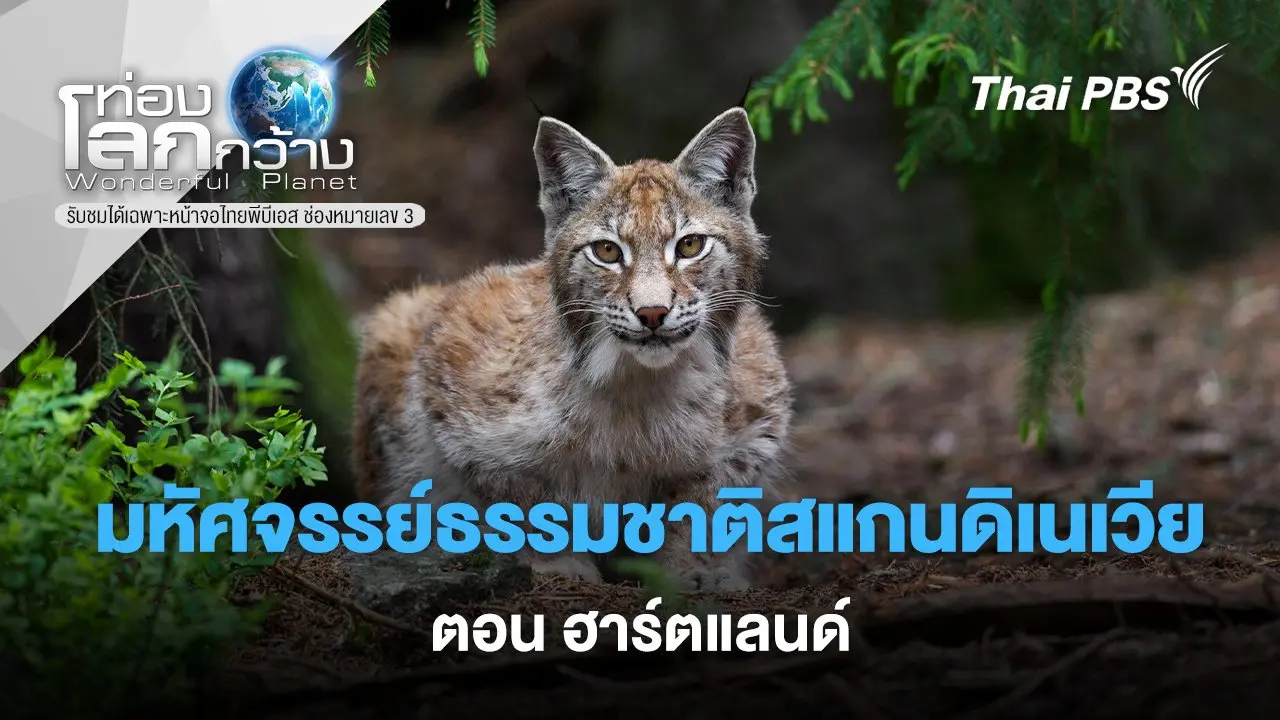 มหัศจรรย์ธรรมชาติสแกนดิเนเวีย  ตอน  ฮาร์ตแลนด์