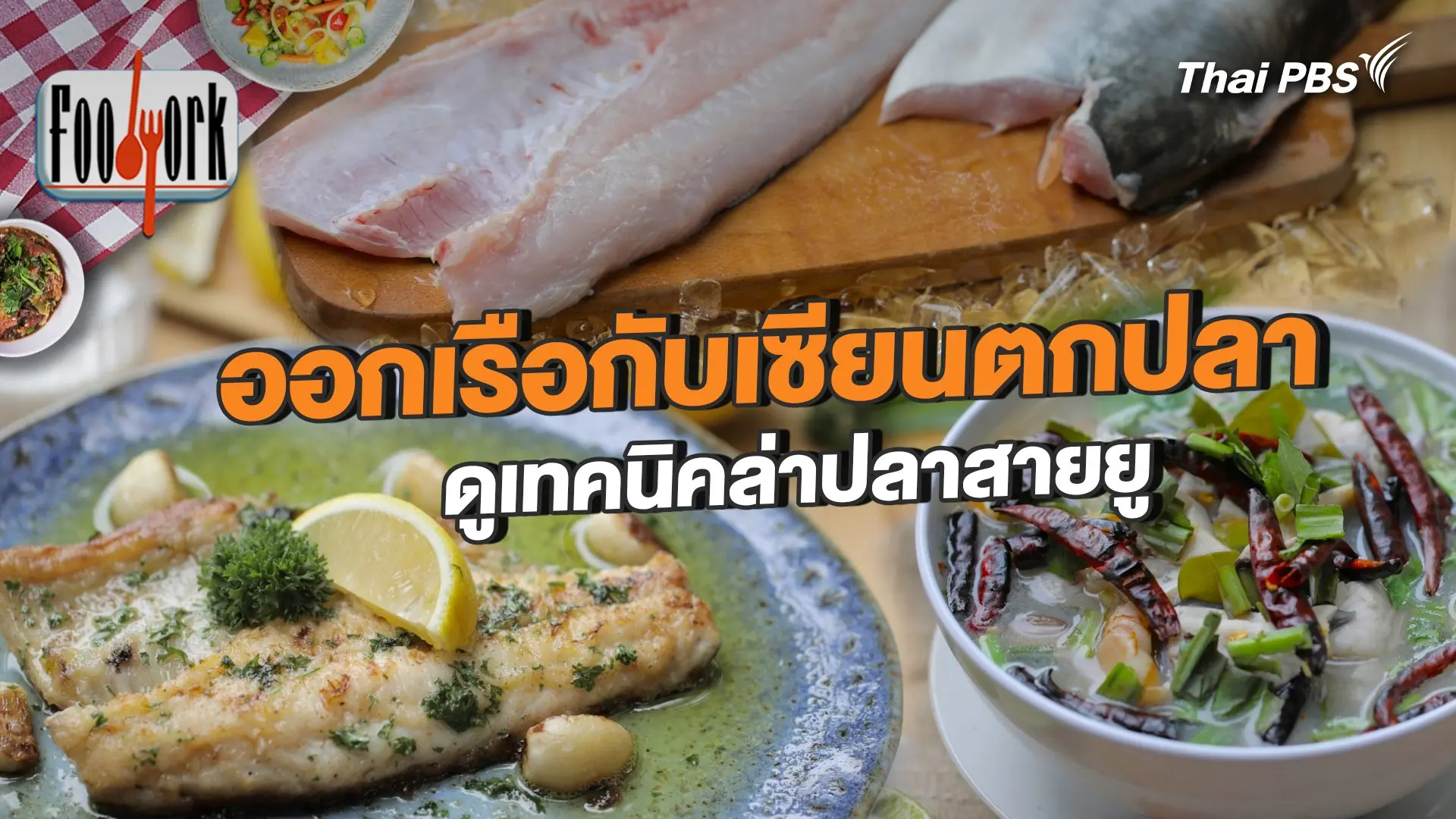 ออกเรือกับเซียนตกปลา ดูเทคนิคล่าปลาสายยู