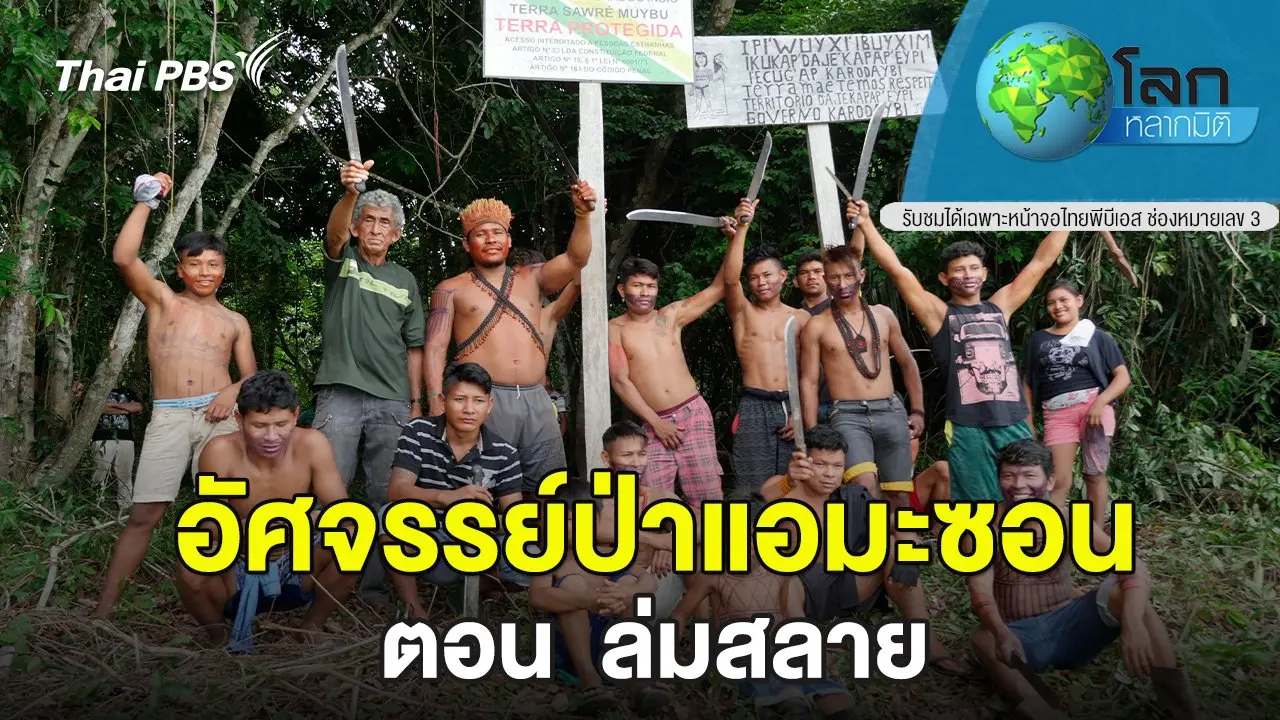 อัศจรรย์ป่าแอมะซอน  ตอน ล่มสลาย