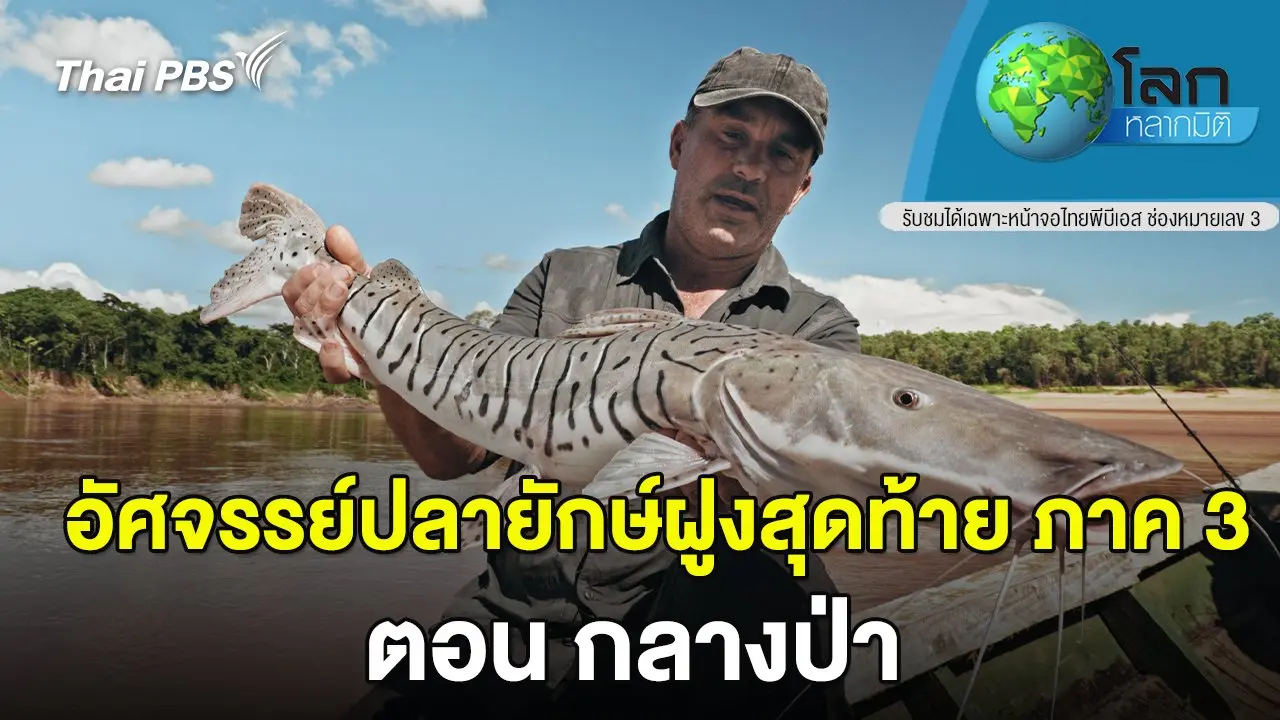 อัศจรรย์ปลายักษ์ฝูงสุดท้าย ตอน กลางป่า