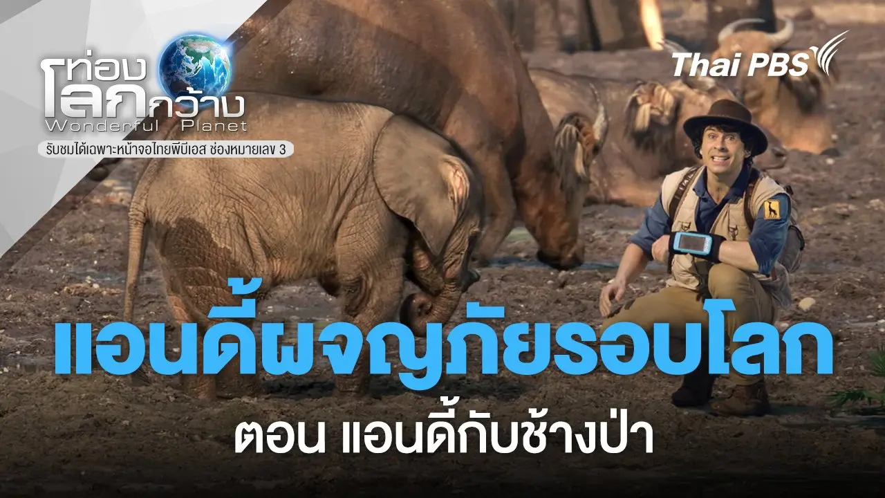 แอนดี้ผจญภัยรอบโลก ตอนที่ 5-8
